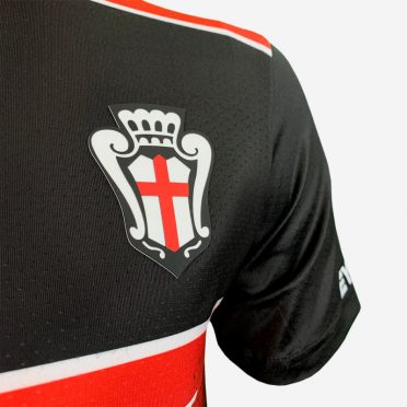 Stemma Pro Vercelli maglia