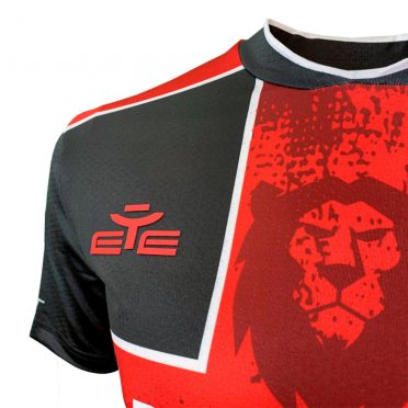 Testa leone Pro vercelli 2020/2021