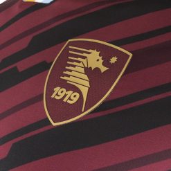 logo-home-salernitana-2020