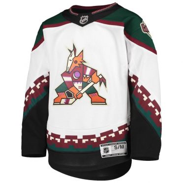 Arizona Coyotes 2021