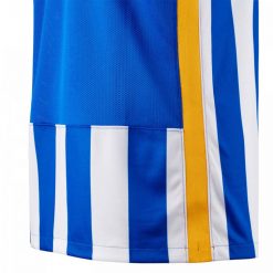 Dettaglio lato divisa Brighton