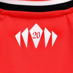 Particolare 20 retro collo maglia Southampton