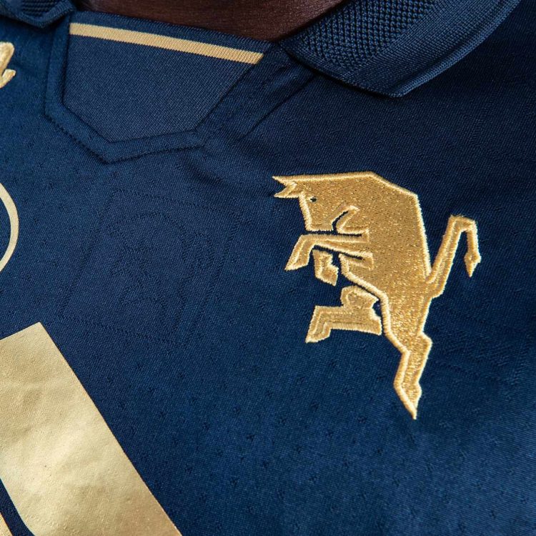 Lo stemma con il toro rampante dorato