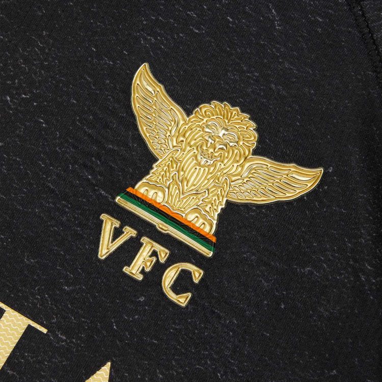 Lo stemma dorato con il leone alato, Venezia FC