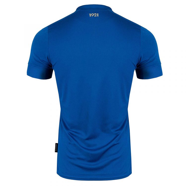 Maglia Irlanda blu 100 anni federazione retro