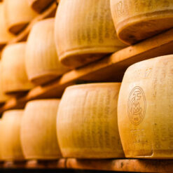 Modena Logo Parmigiano Matti Vandersee