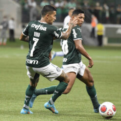Sponsor Palmeiras home 2022