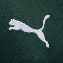 Logo Puma ricamato sulla maglia del Palmeiras