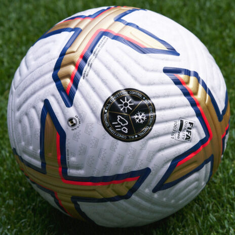 Dettaglio pallone Premier League 30 anni