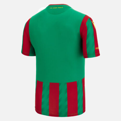 Retro prima maglia Ternana 2023