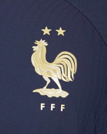Stemma FFF Francia galletto con le due stelle