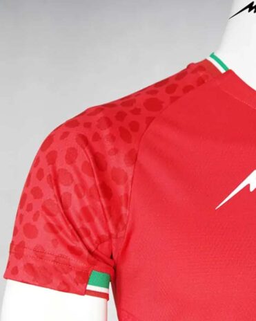 Dettaglio manica Iran away