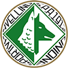 Avellino logo