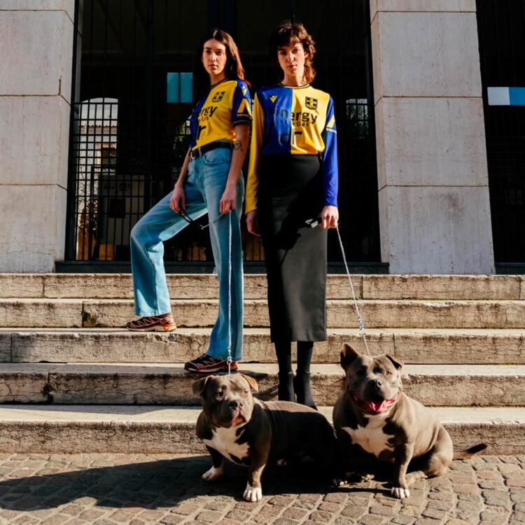 Kit Hellas Verona 120 anni con i mastini