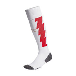 Calzettoni Arsenal 2023-2024 home