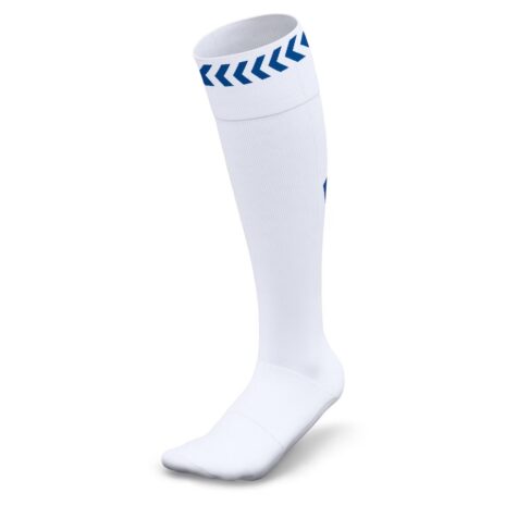 Socks bianchi Everton 23-24