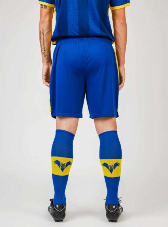 Calzettoni Hellas Verona 2023-2024 blu