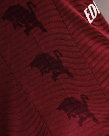 Toro rampante sui lati della divisa