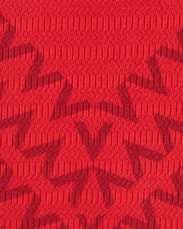 Particolare delle piccole V sulla maglia del Lille